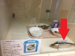 鰯の模型が!!