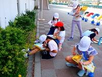 いつもの通り道も、緑でいっぱい!