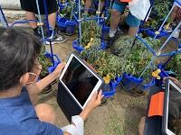タブレットで定期的に観察!