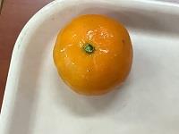 みんな大好き!冷凍みかん!