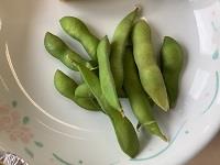 船橋産の枝豆!