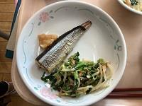 今が旬の秋刀魚!