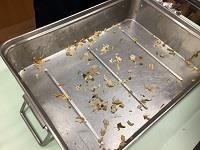 食缶もこの通り!