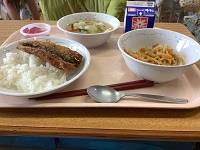 和食で栄養満点！