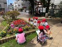 花をじっくり観察!