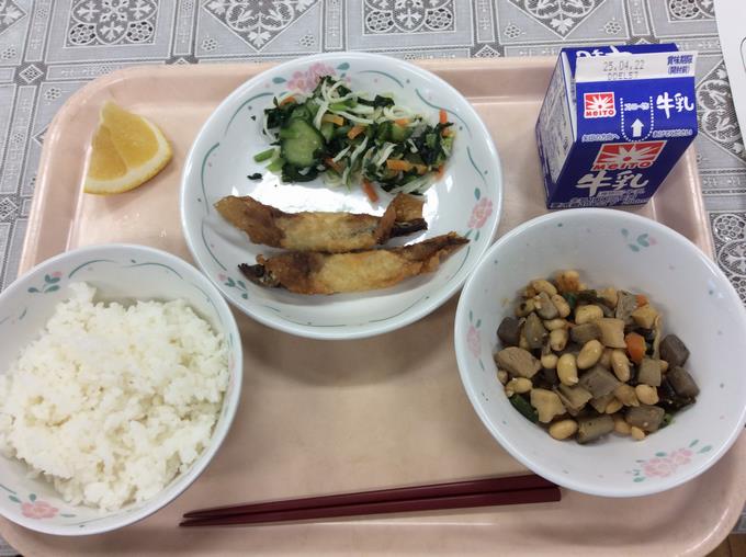 給食