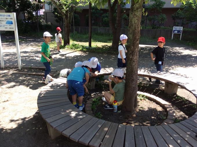 学区探検