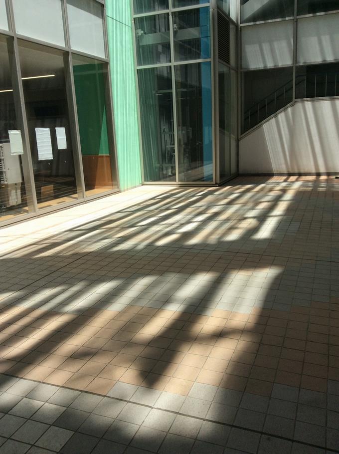 掃除の様子