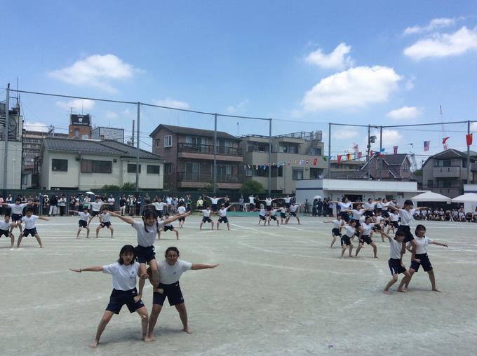 6年生