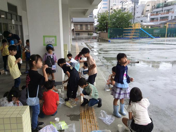 学習の様子
