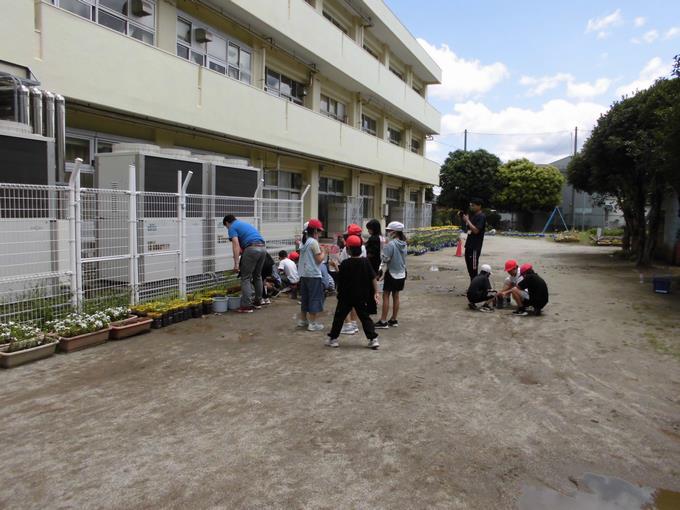 5年生米作り出前授業