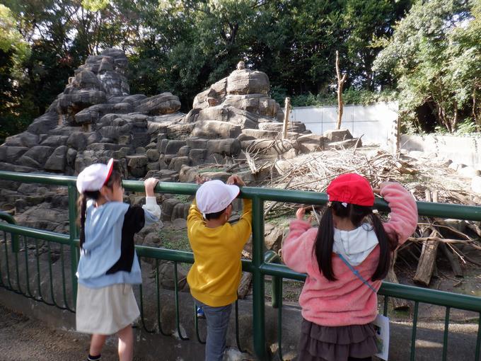 千葉市動物公園