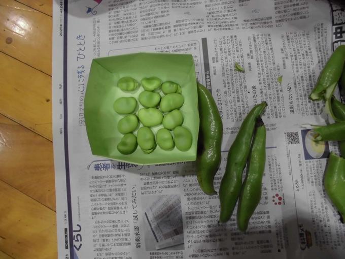 そらまめ皮むき2