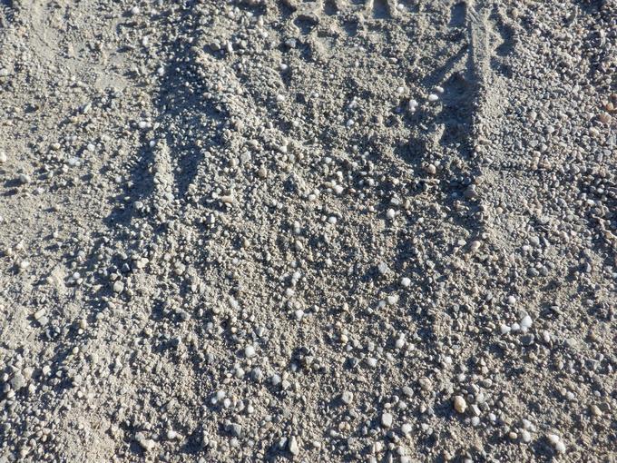 地面には・・・