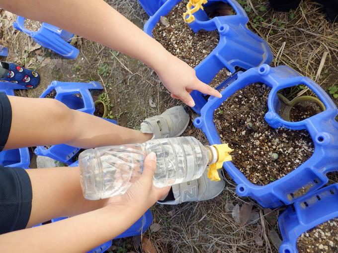 おみずをあげよう