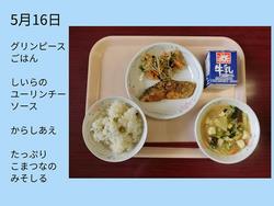 5月16日