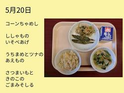 5月20日