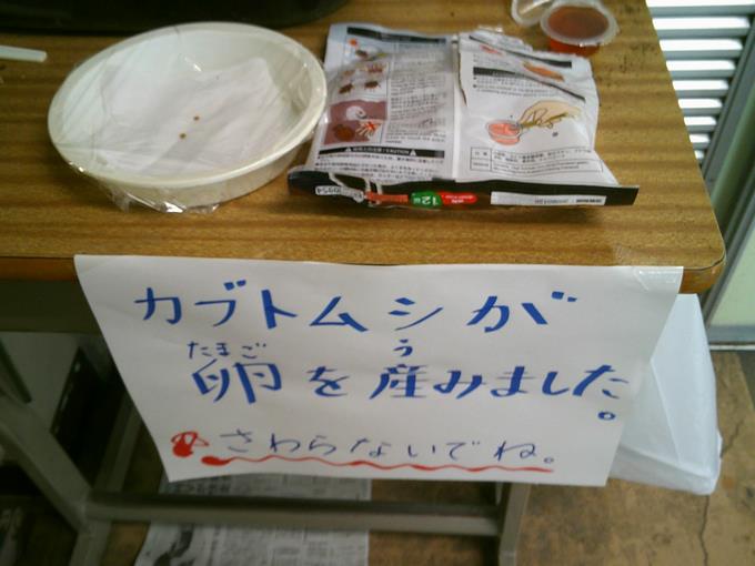ようす