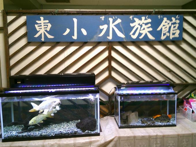 ようす