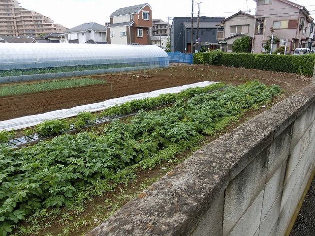 畑が広がる先には住宅