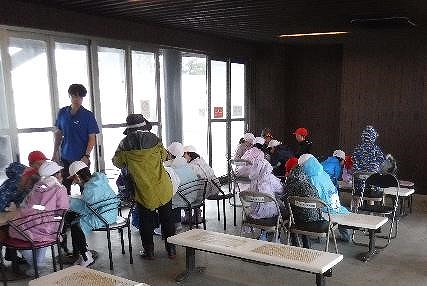 コメツキガニ観察