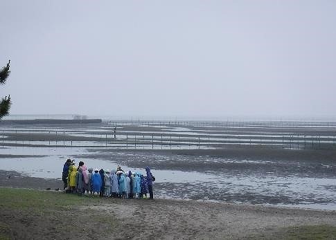 干潟のそばまで行って