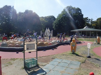 ボールプール