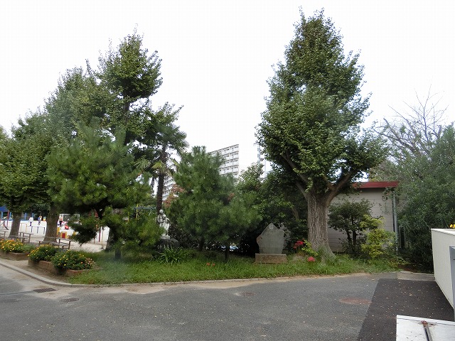 正門近く（刈る前）