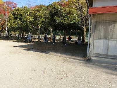 側溝に落ちた葉も清掃