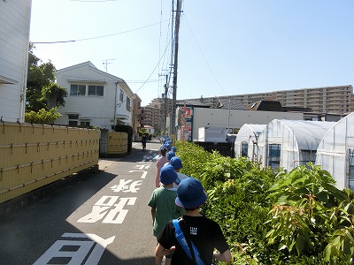 道路を1列で進みます