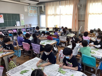協力して取り組みました