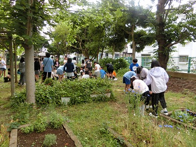 校舎裏庭に集合