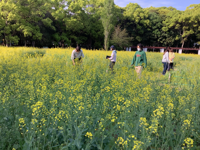 花畑と先生方