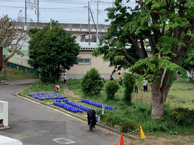 わかば学級春探し