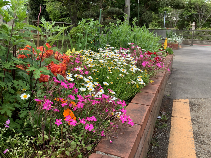正門あたりの花壇