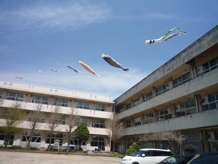 元気に泳ぐ鯉のぼり１