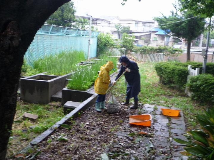 雨にも負けず