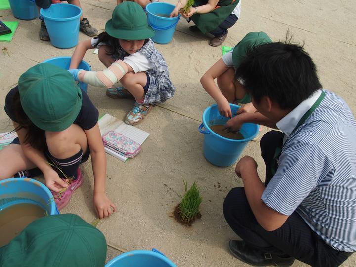 植えるぞ!