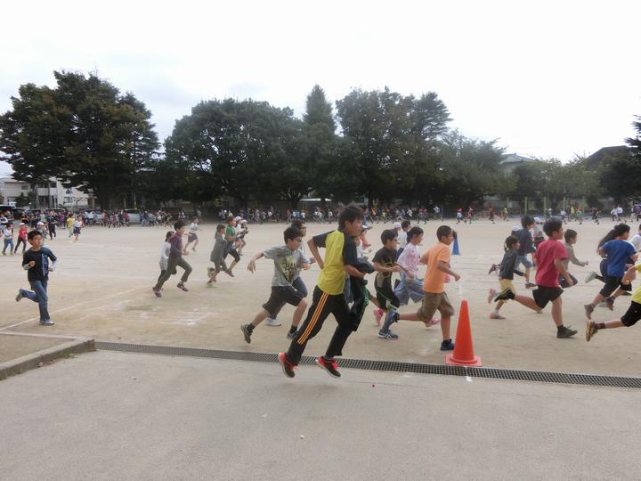表校庭