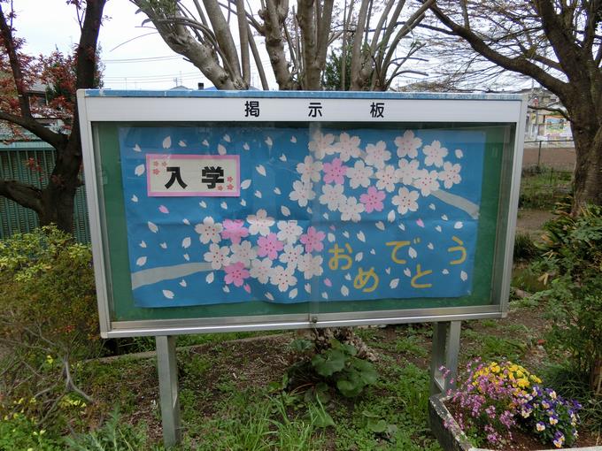 掲示板