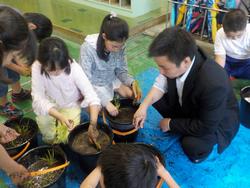 植えます！
