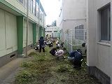 草取り4