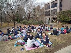 楽しい昼食！