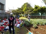 飯山満小の畑