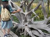オブジェ