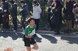 4区