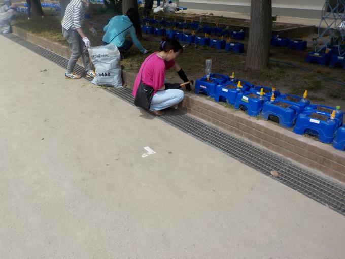 除草作業