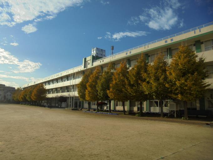 色づきはじめた木々1
