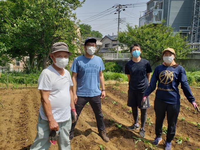 苗植え2