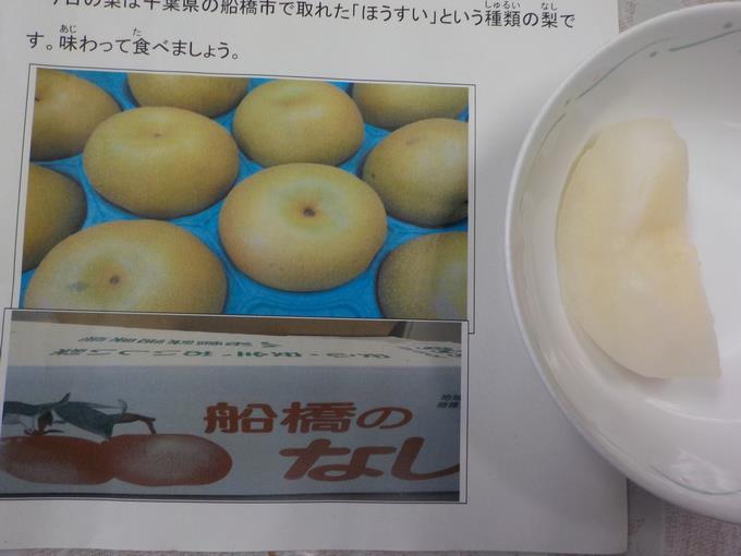 船橋産の梨